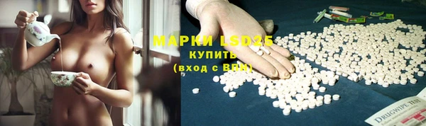 СК Володарск