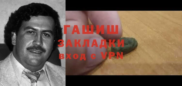PSILOCYBIN Волосово