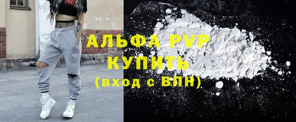 PSILOCYBIN Волосово