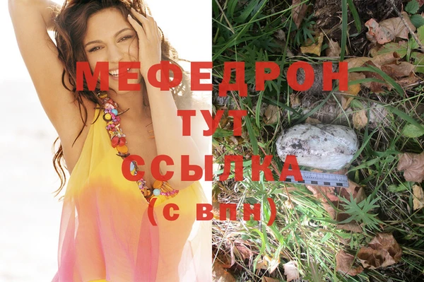 PSILOCYBIN Волосово