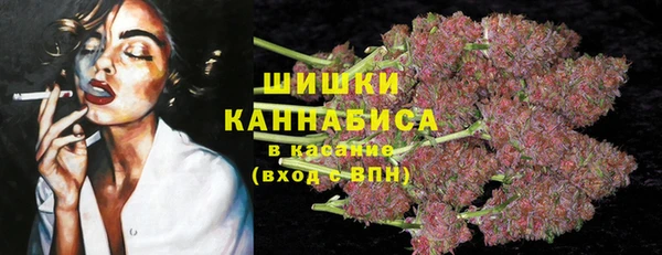 СК Володарск