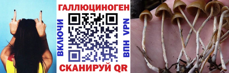 Галлюциногенные грибы ЛСД  Шахты 